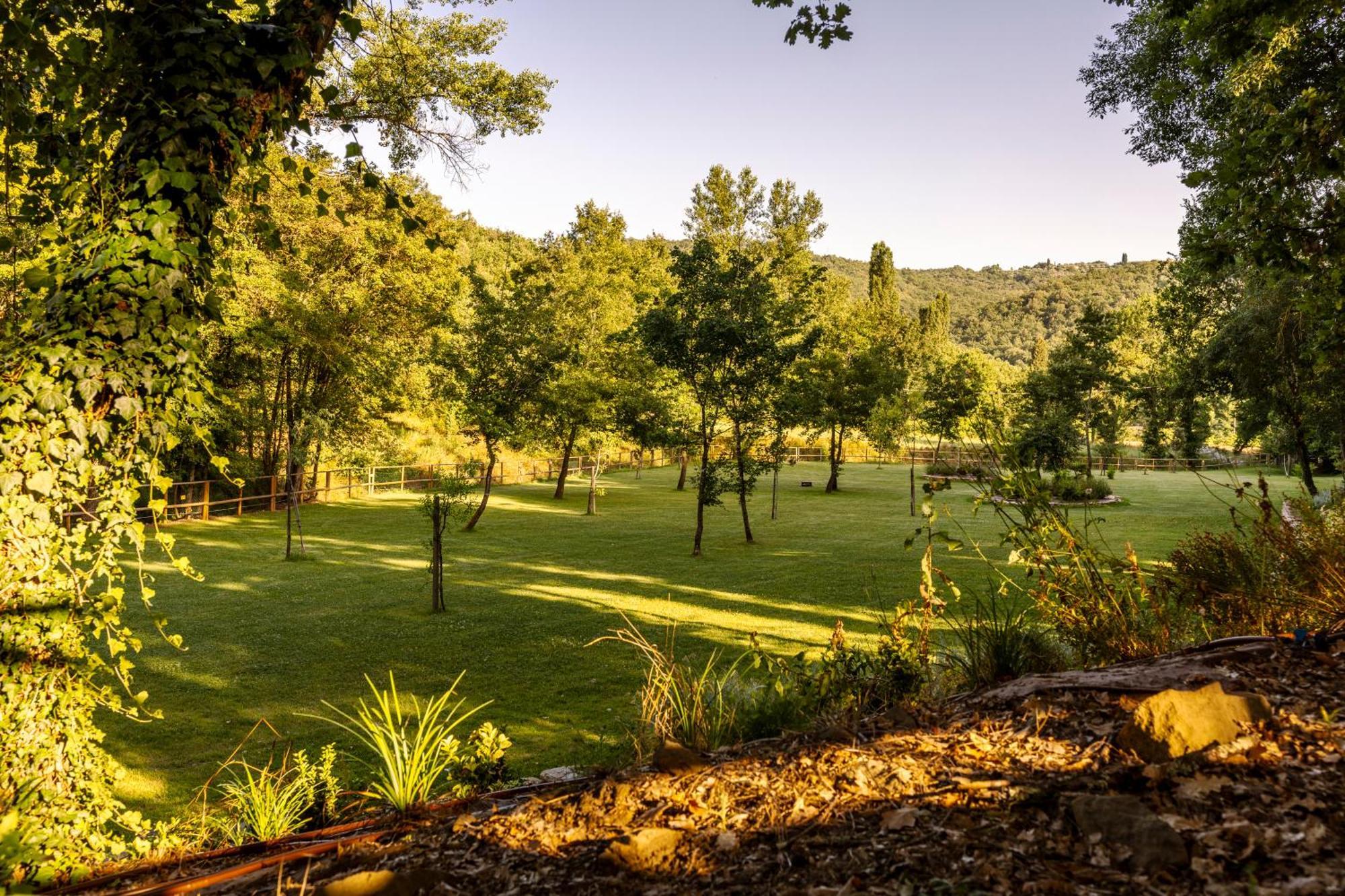 Podere La Casina Country Chic Rigomagno المظهر الخارجي الصورة